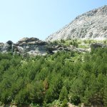balazsh 2011